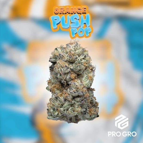 Pro Gro | Orange Push Pop | Big Buds by Pro Gro