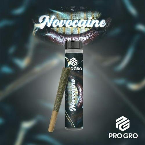 Pro Gro | Novocaine | Joint | 1g by Pro Gro