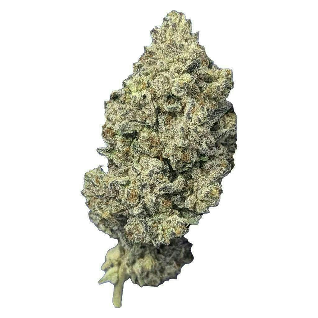 Jealousy | Big Buds | 14g