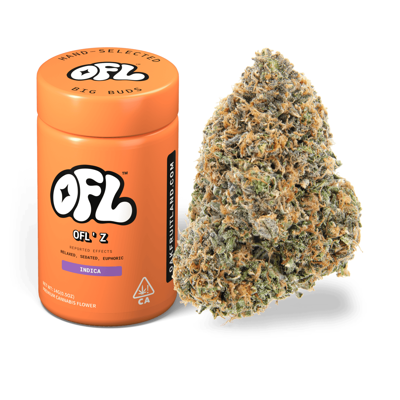 OFL' Z | Big Buds Jar | 14g