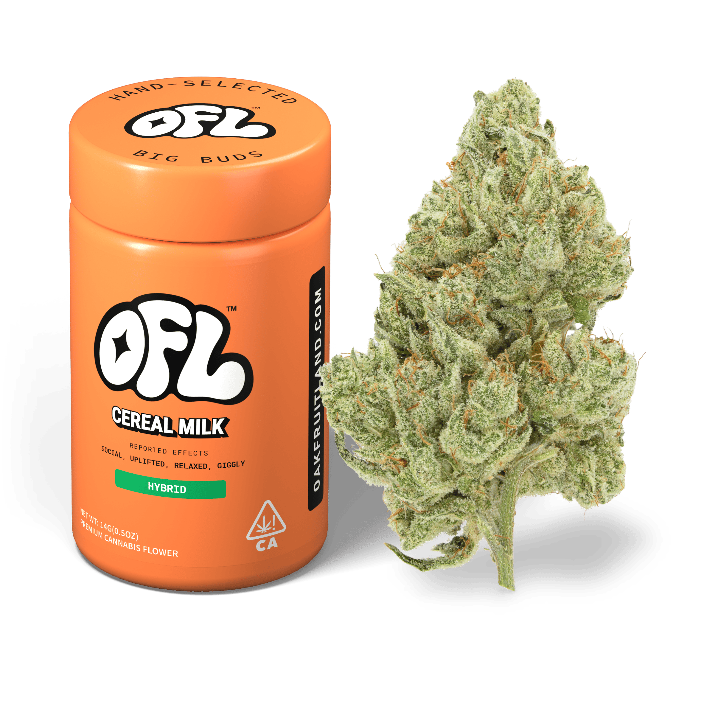 Cereal Milk | Big Buds Jar | 14g