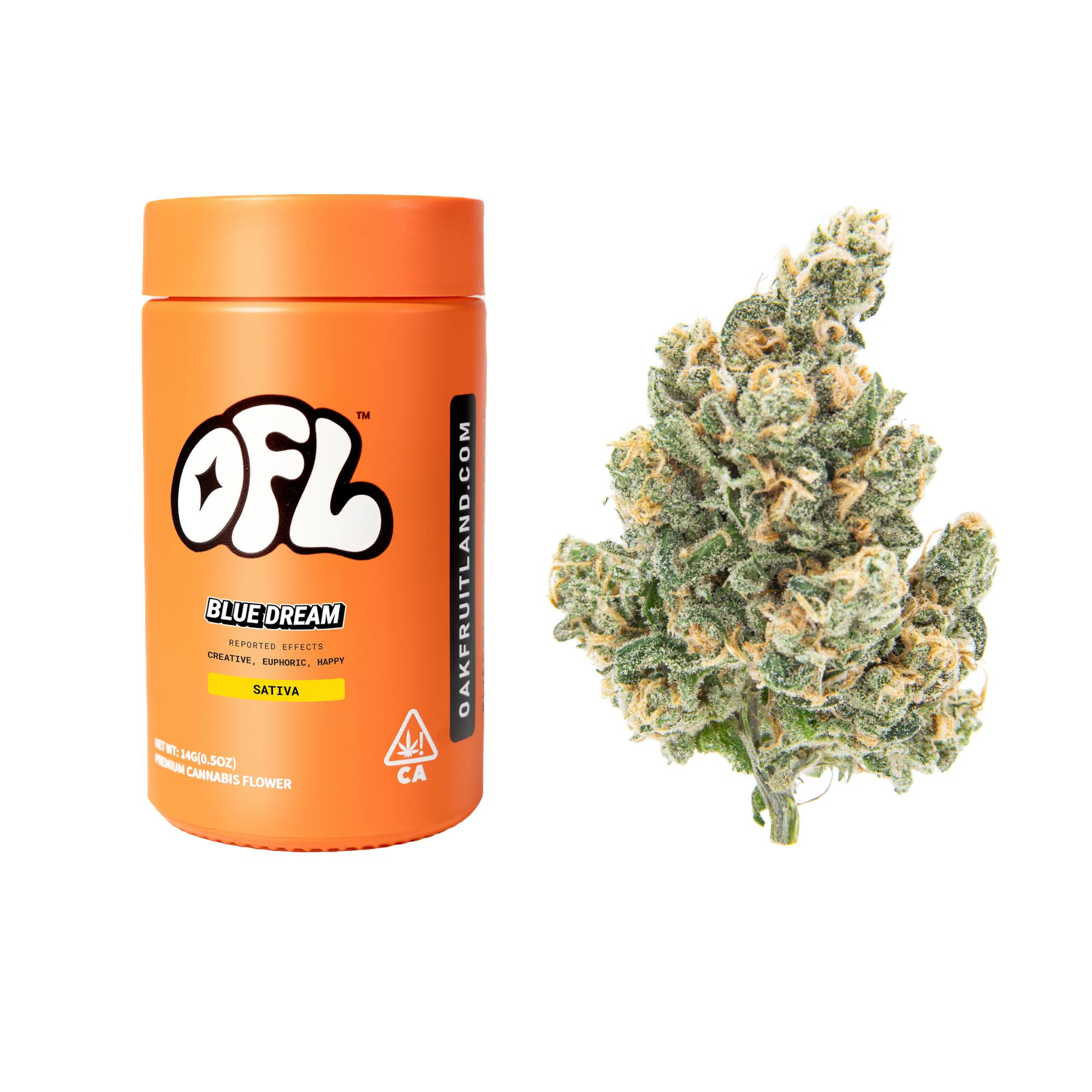 Oakfruitland (OFL) — Blueberry Haze