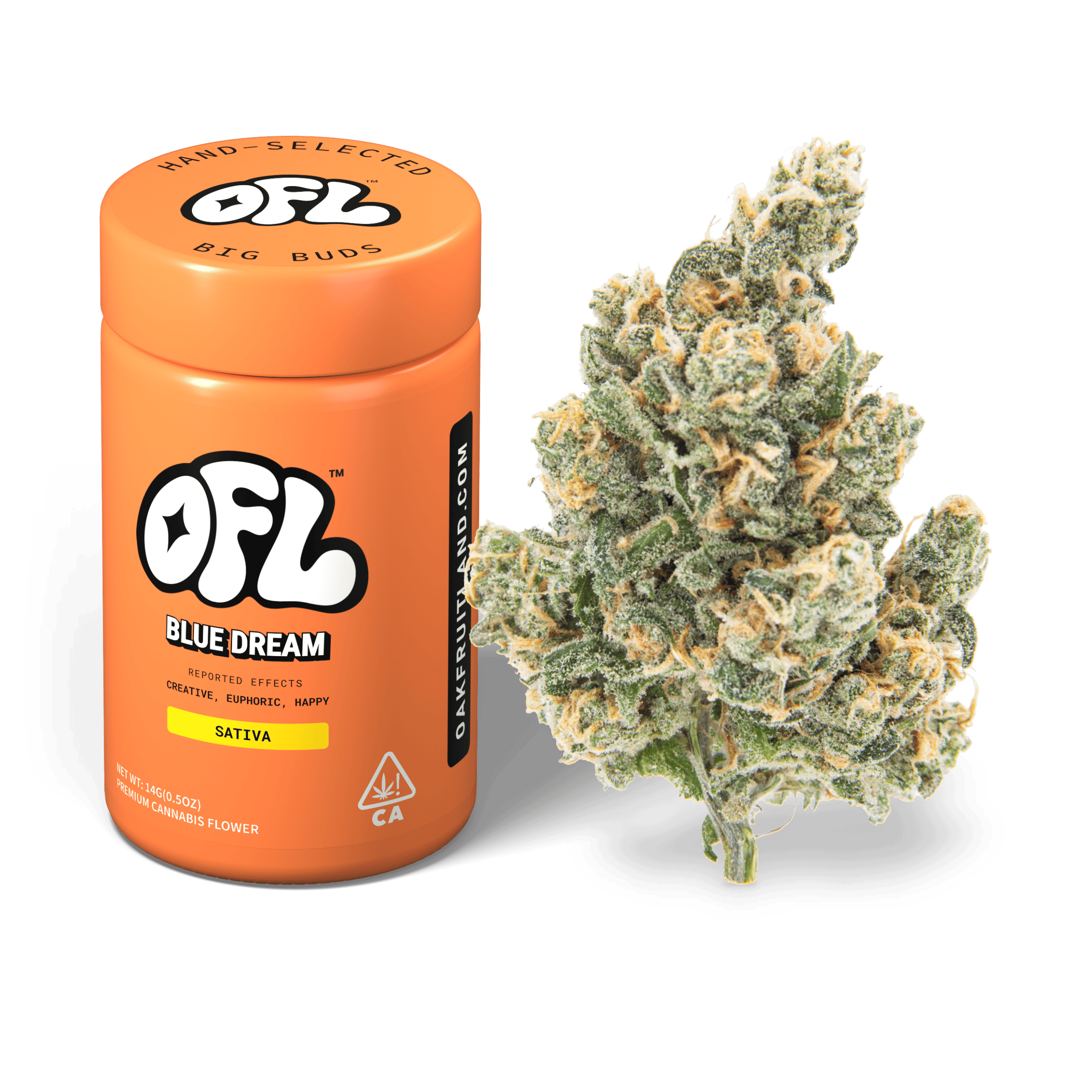 Blue Dream | Big Buds Jar | 14g