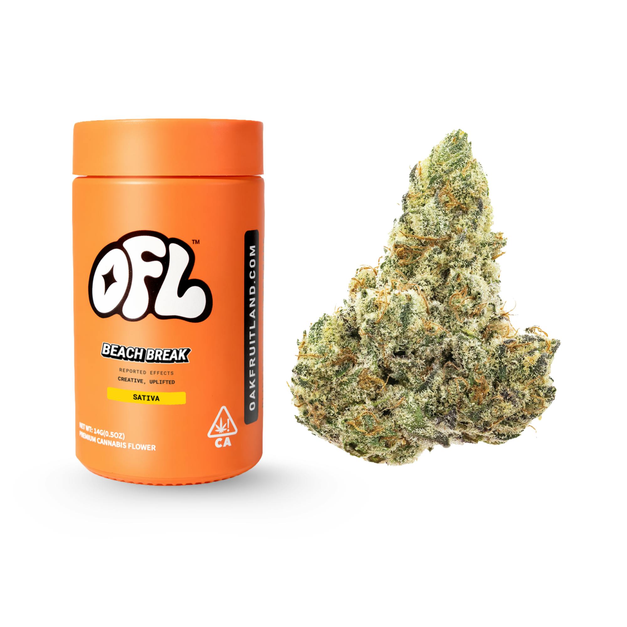 Oakfruitland (OFL) — Blueberry Muffin