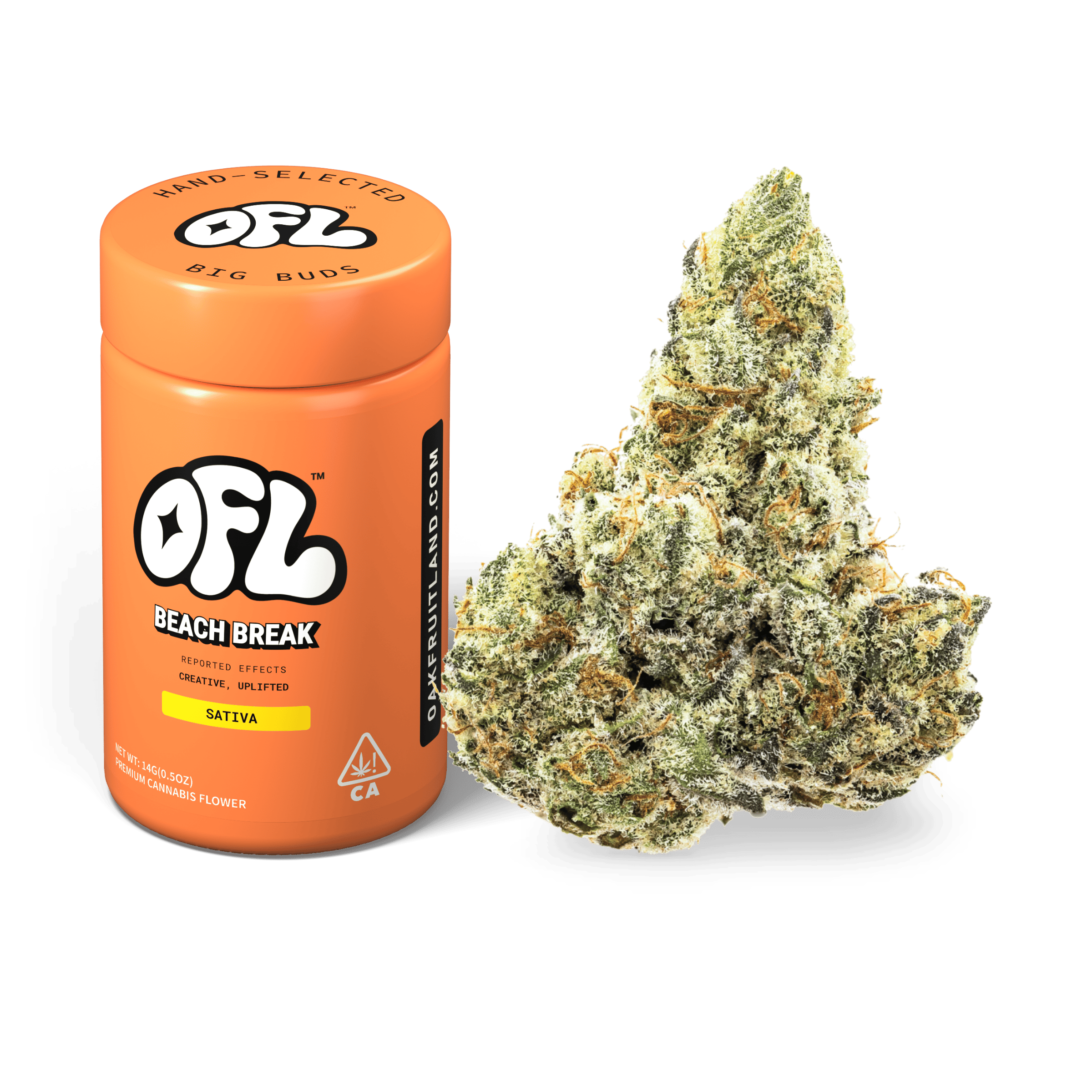 Beach Break | Big Buds Jar | 14g