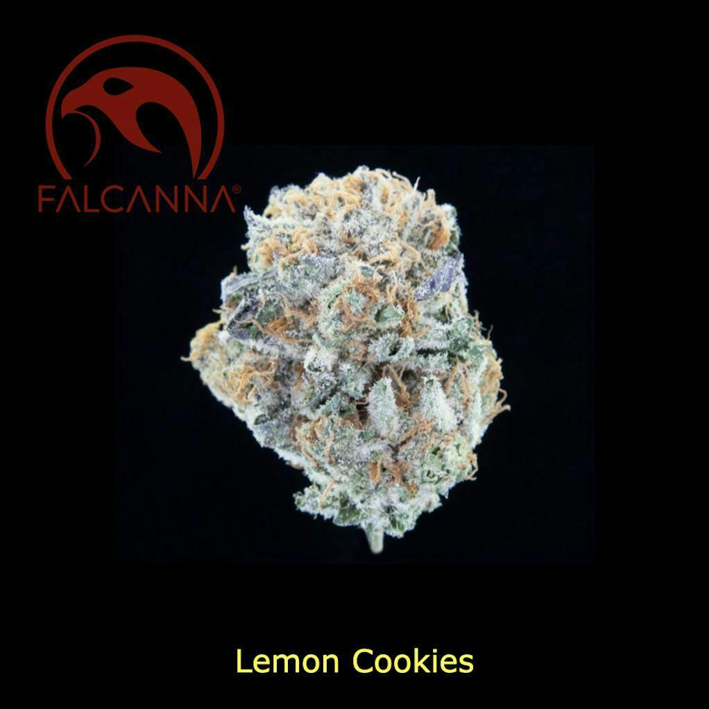 28g Lemon Cookies - Falcanna Pre-Pack Flower