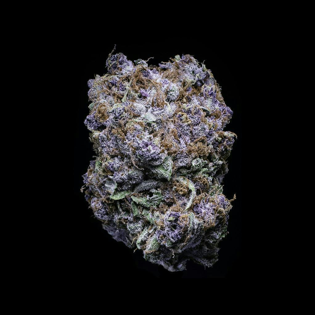 14g Blueberry Tide - Falcanna Pre-Pack Flower