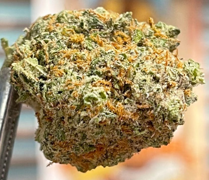 Runtz | Big Buds by Redemption