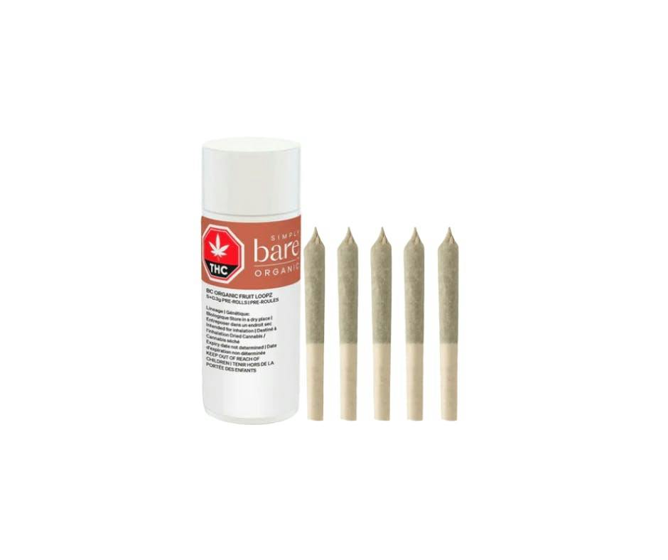 Organic Fruit Loopz | Minis | 0.3g | 5pk