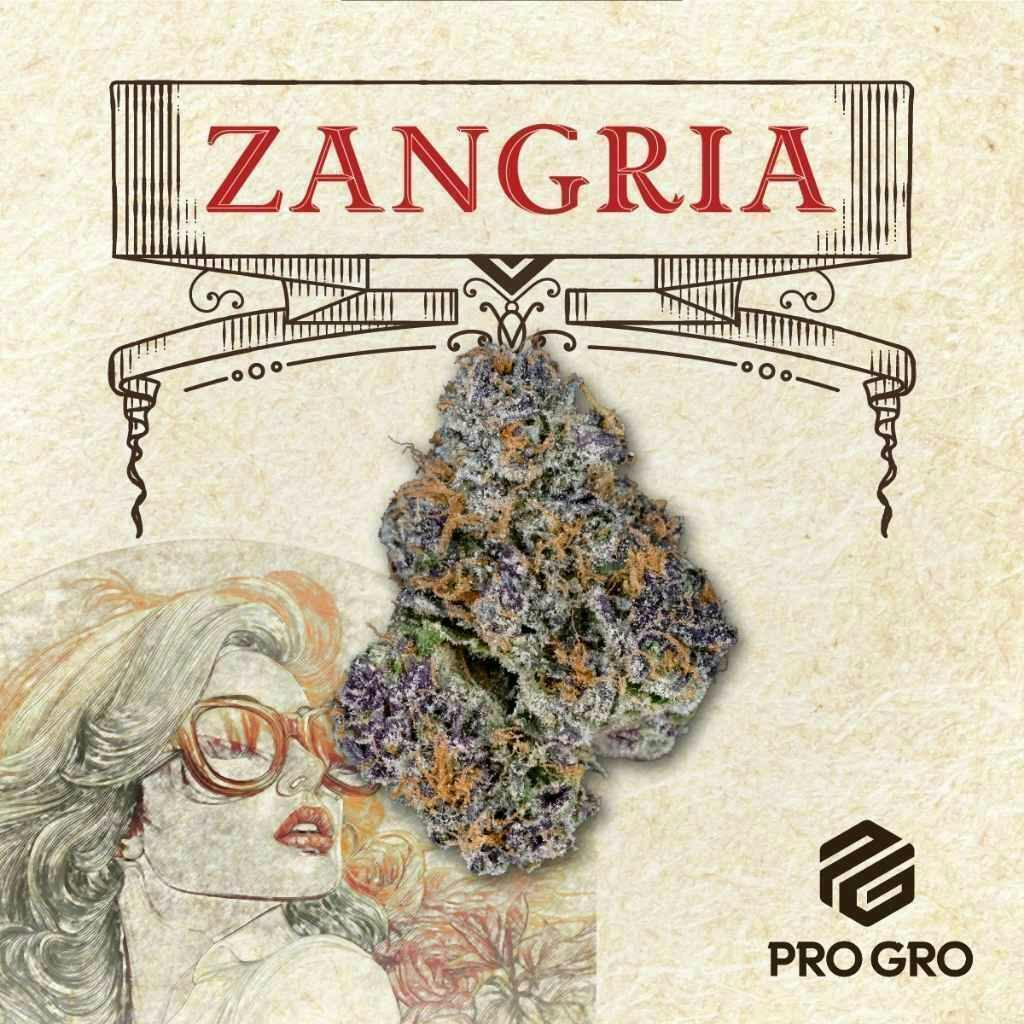 Pro Gro | Zangria | Big Buds by Pro Gro