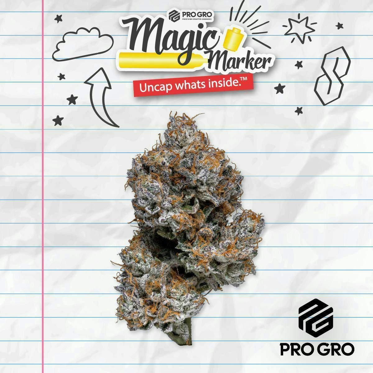 Pro Gro | Magic Marker | Big Buds by Pro Gro
