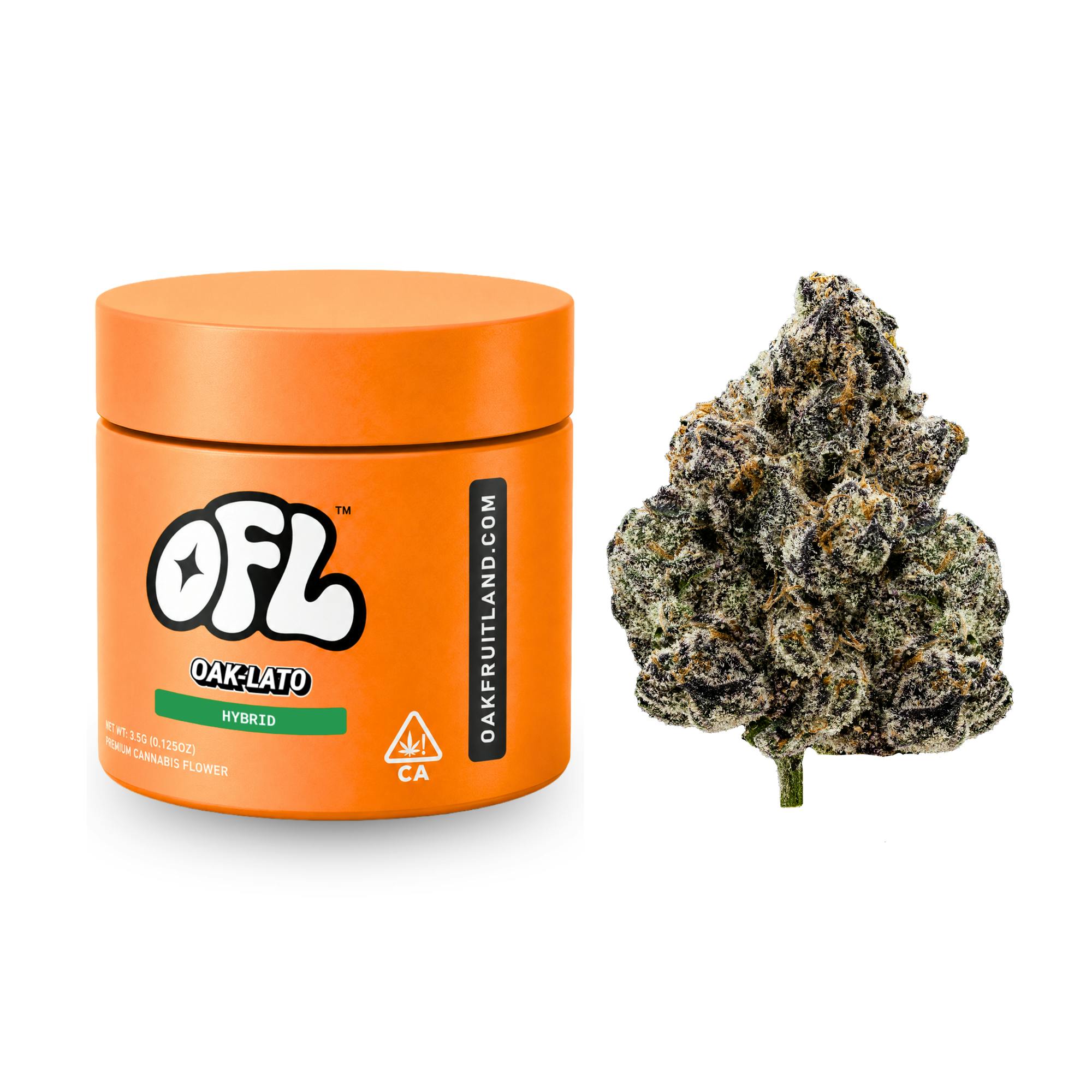 Oak-Lato Premium Flower Jar 3.5g - Big Buds - Oakfruitland (OFL)