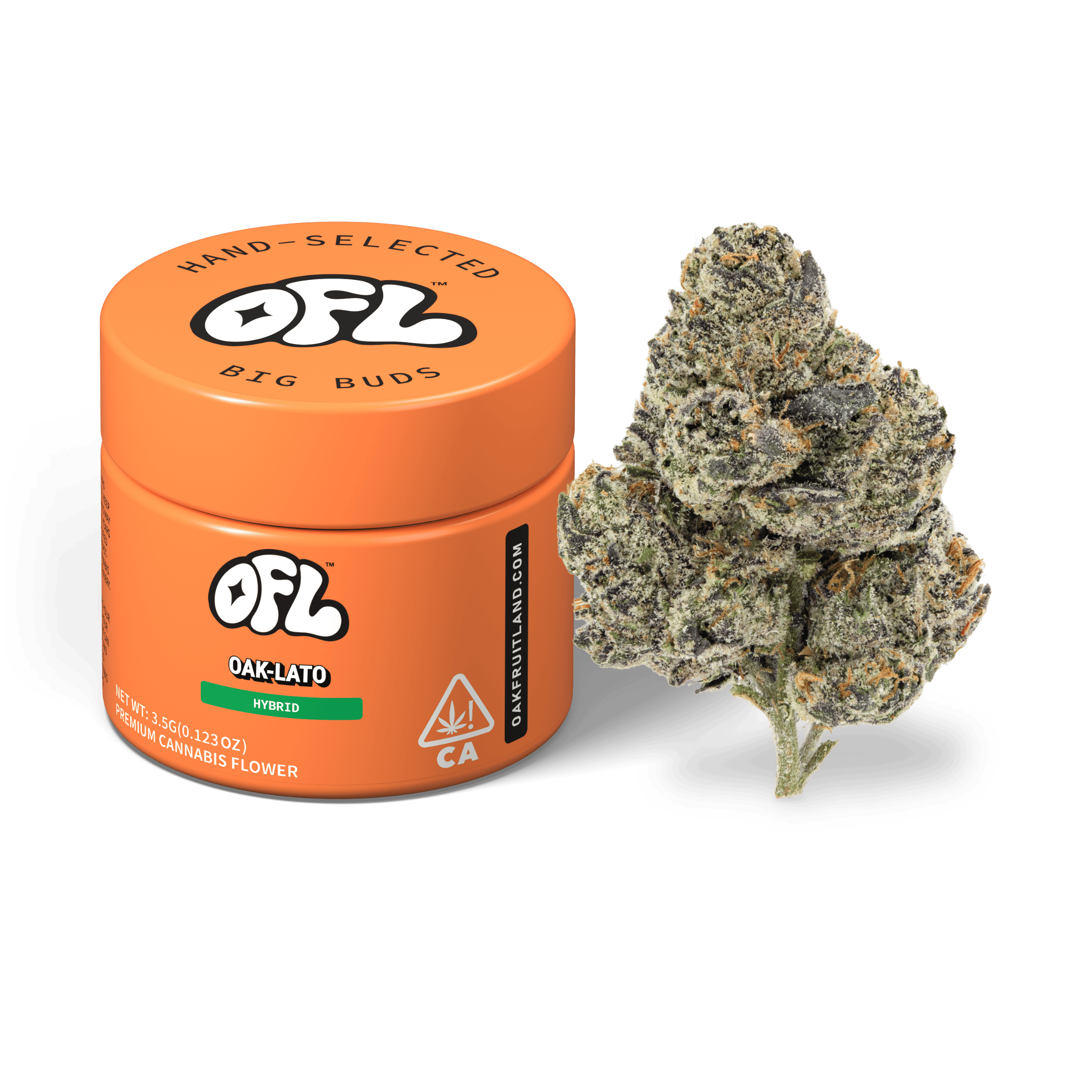 Oak-Lato | Big Buds Jar | 3.5g