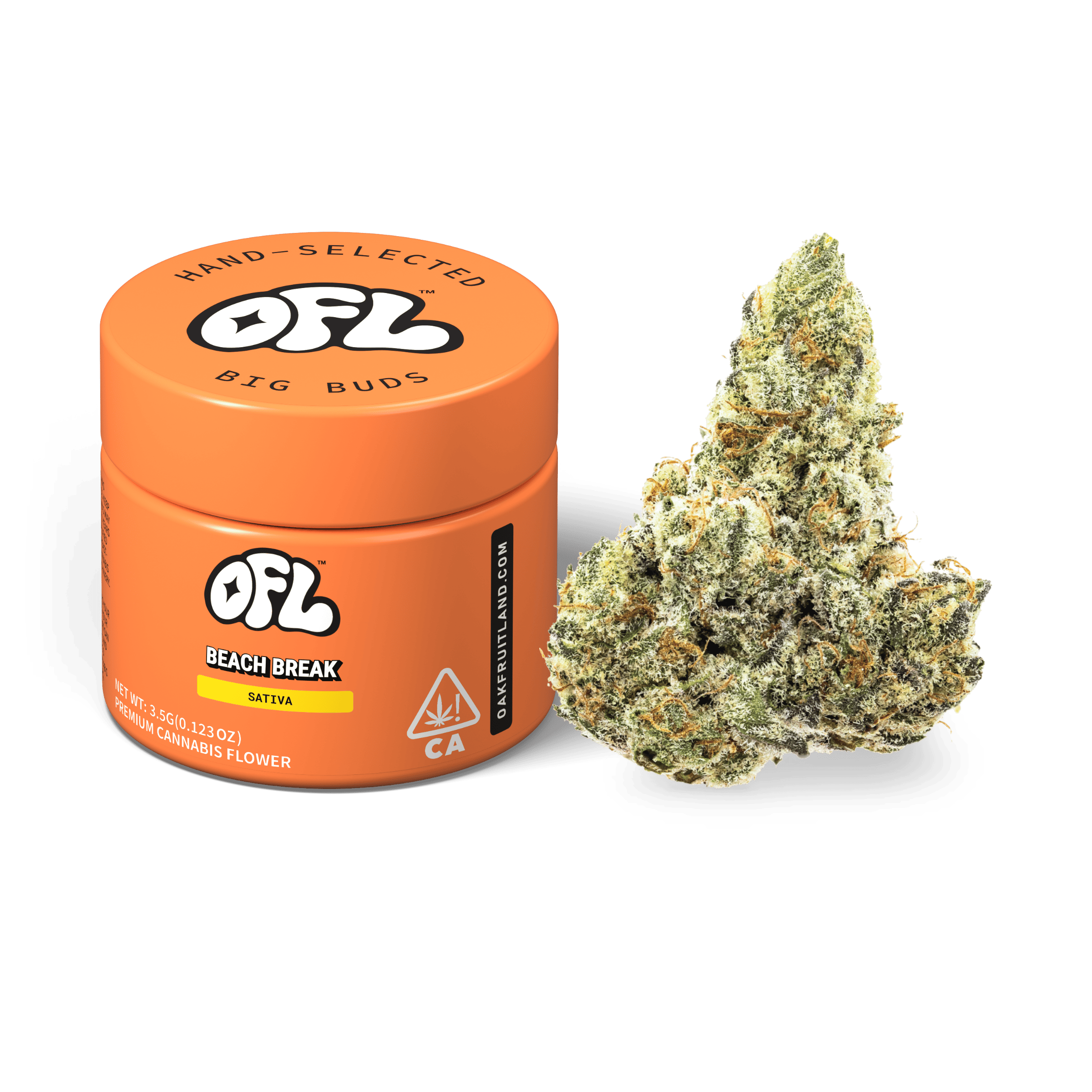 Beach Break | Big Buds Jar | 3.5g