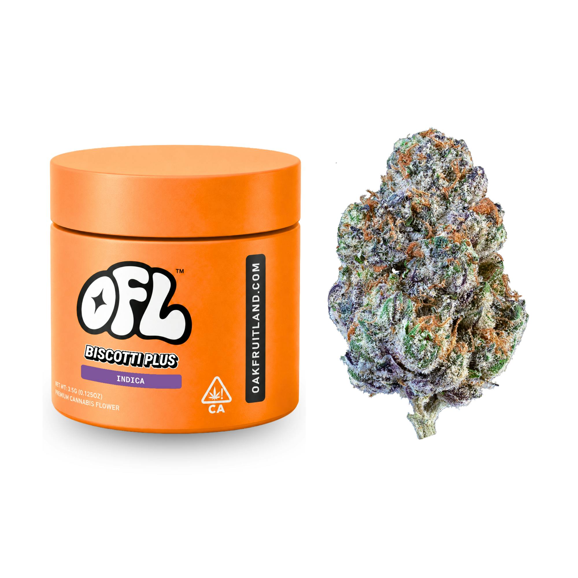 Oakfruitland (OFL): Biscotti