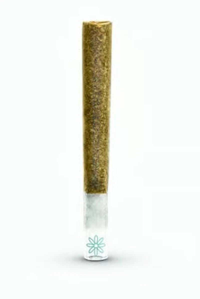 Boutiq Jealousy · Joint · 1g, Pre-Rolls
