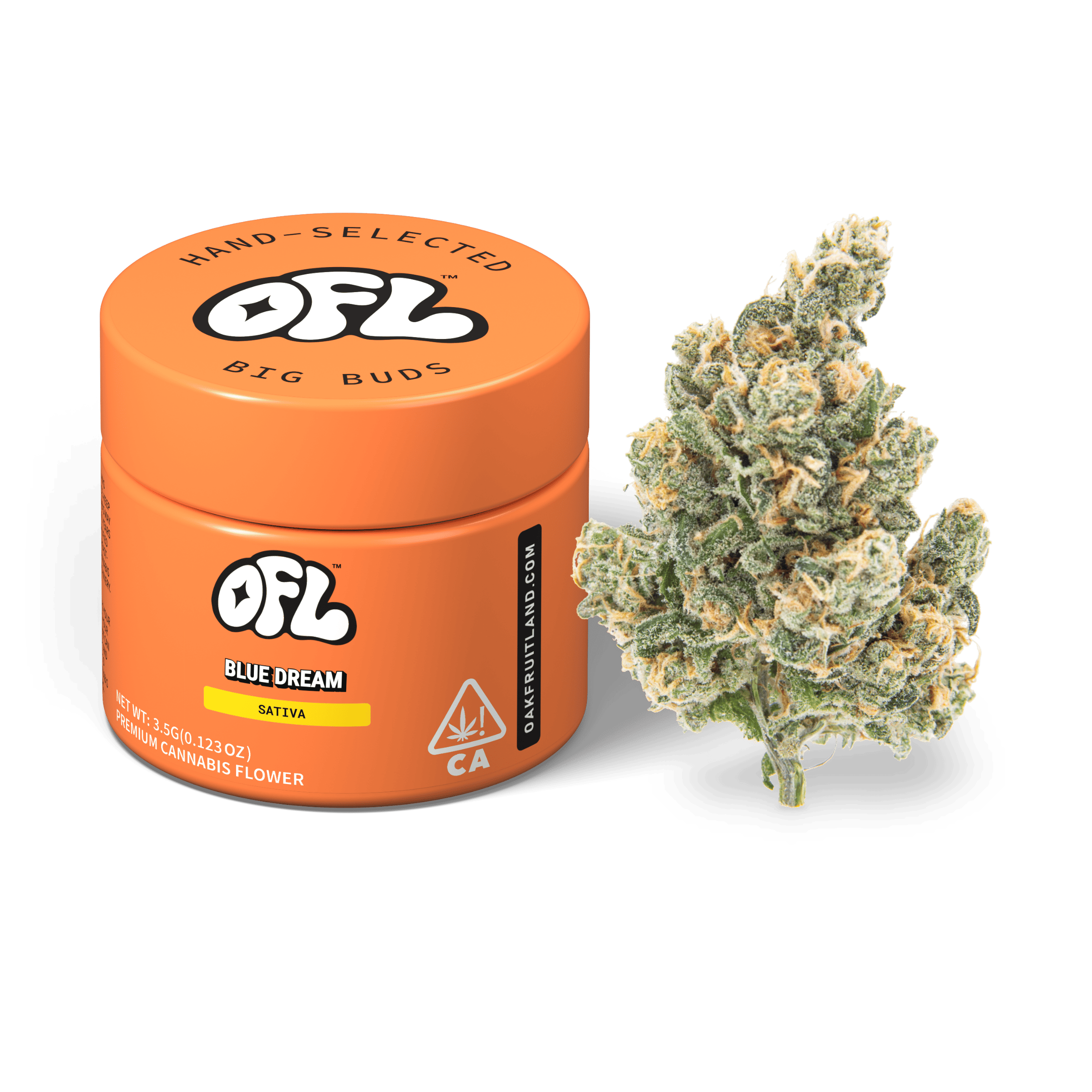 Blue Dream | Big Buds Jar | 3.5g