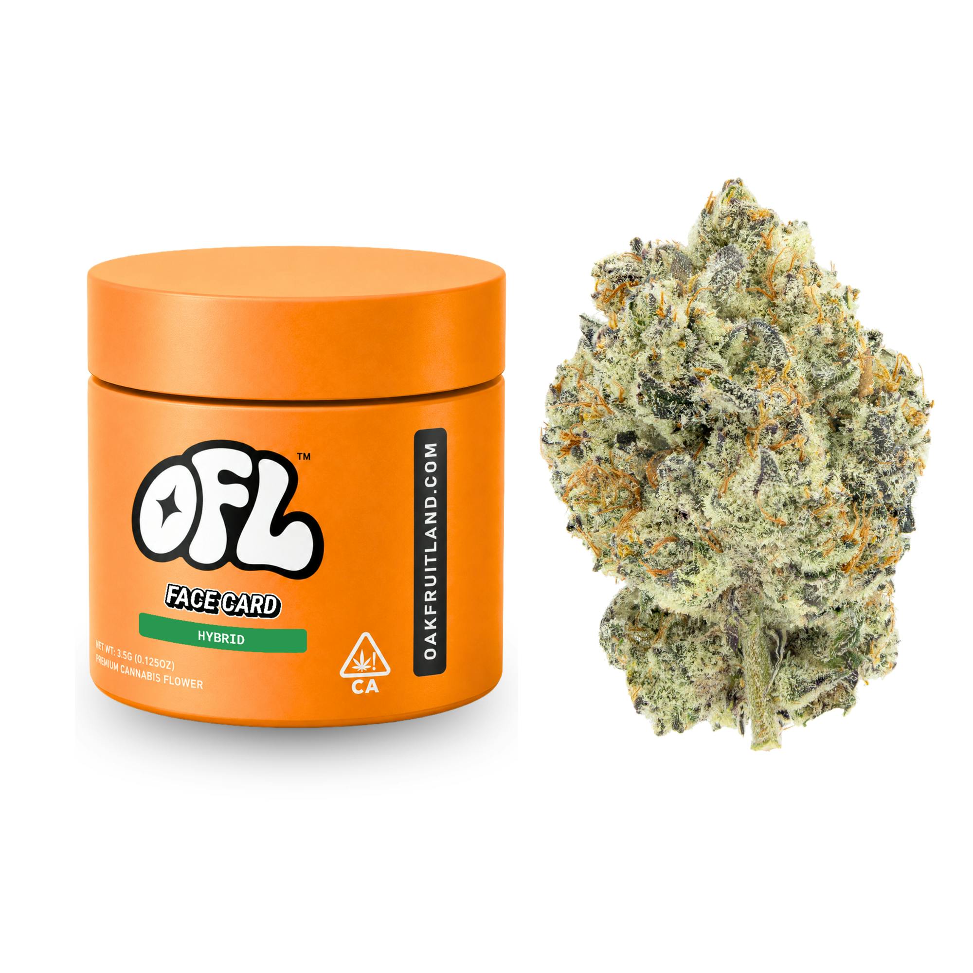Face Card | Big Buds Jar | 3.5g