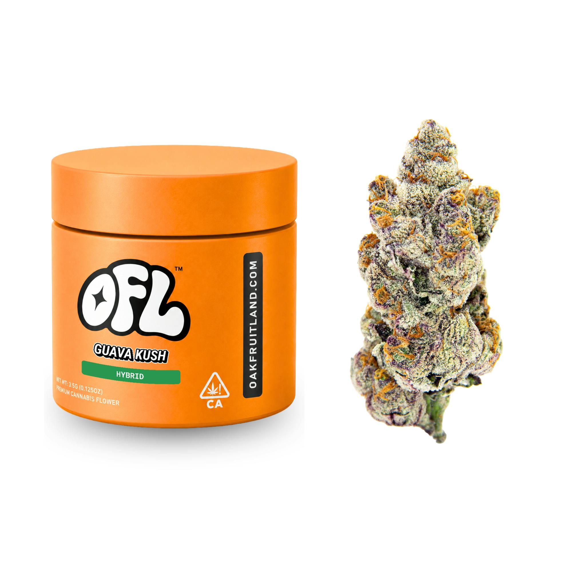 Oakfruitland (OFL) — Guava Kush