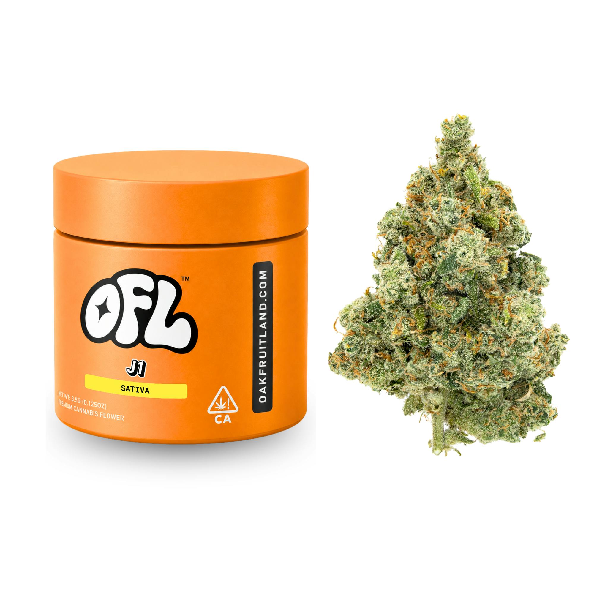 J1 | Big Buds Jar | 3.5g