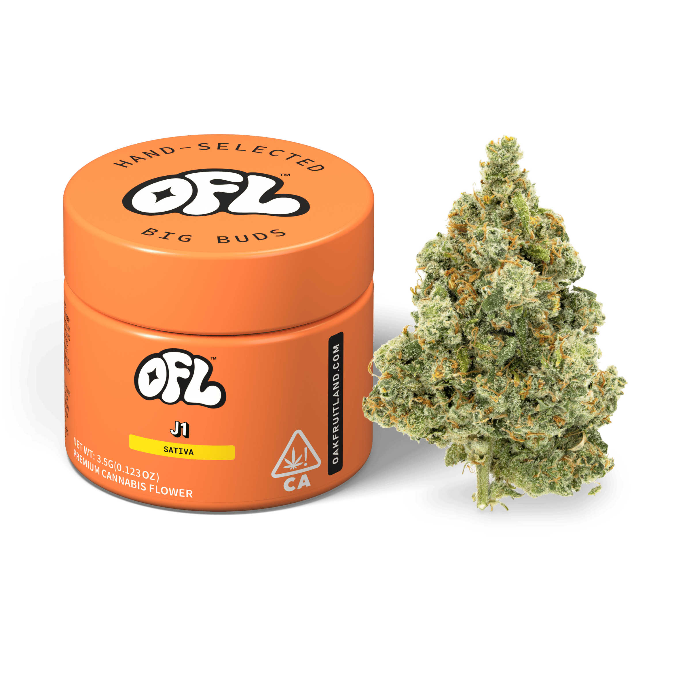 J1 | Big Buds Jar | 3.5g