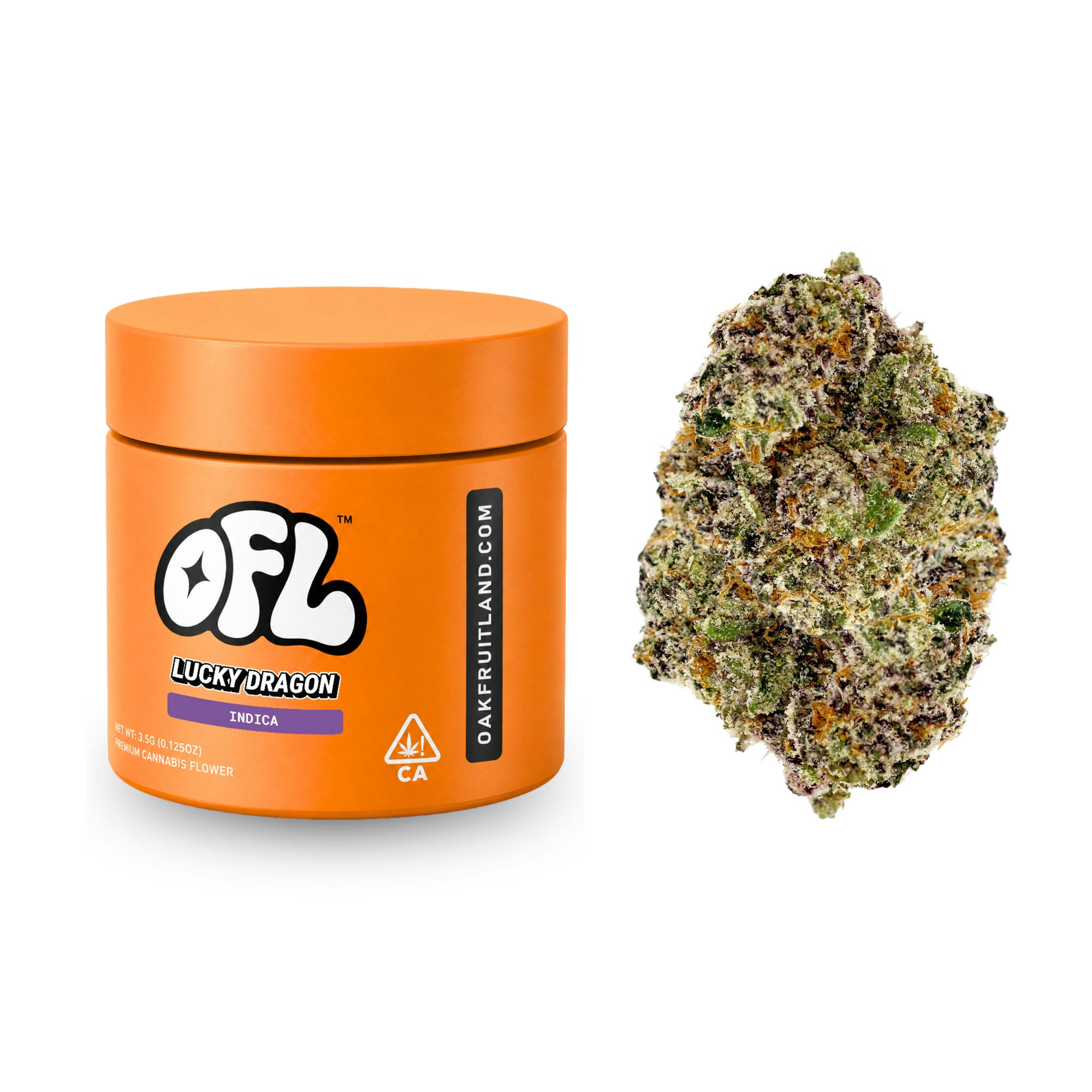Oakfruitland (OFL): Lucky Dragon