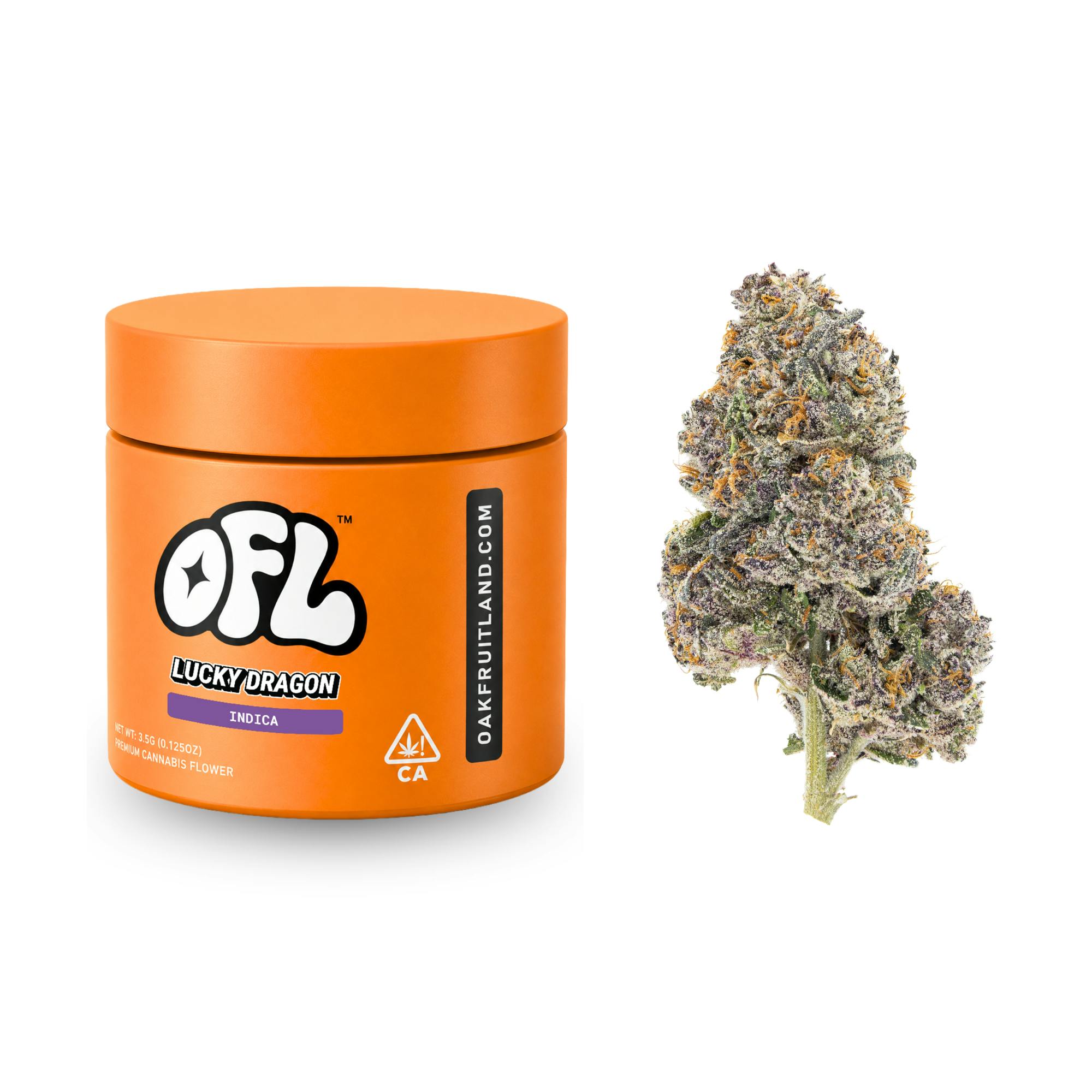 Lucky Dragon | Big Buds Jar | 3.5g