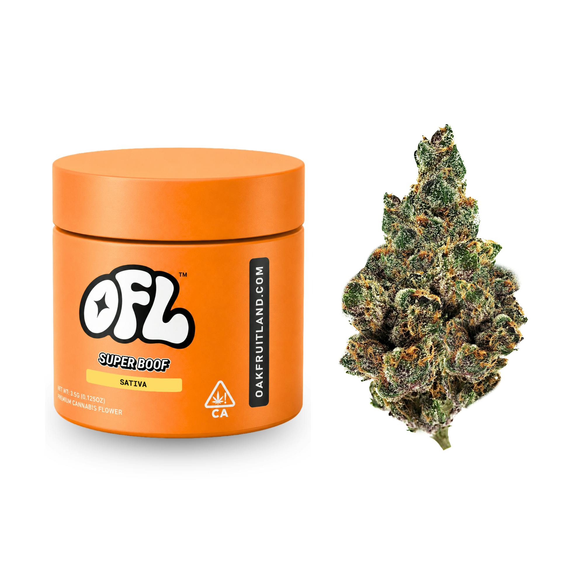 Oakfruitland (OFL): Super Boof