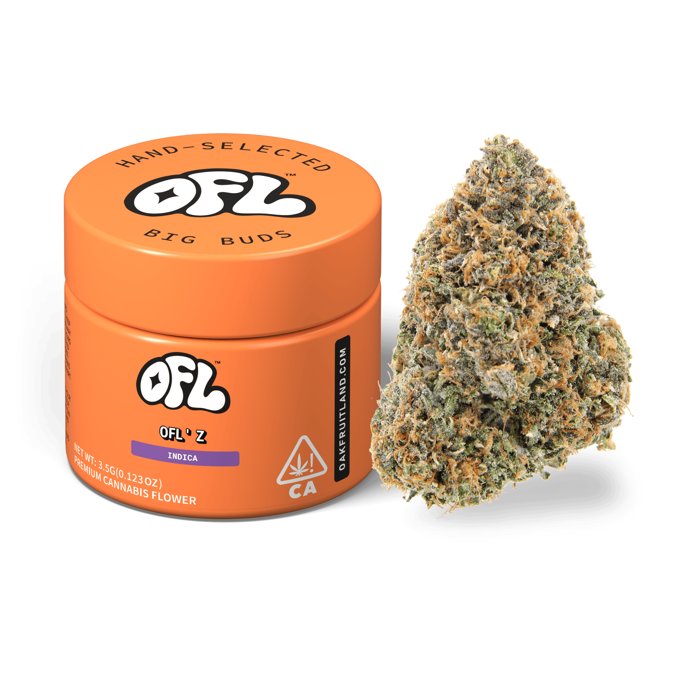 OFL' Z | Big Buds Jar | 3.5g