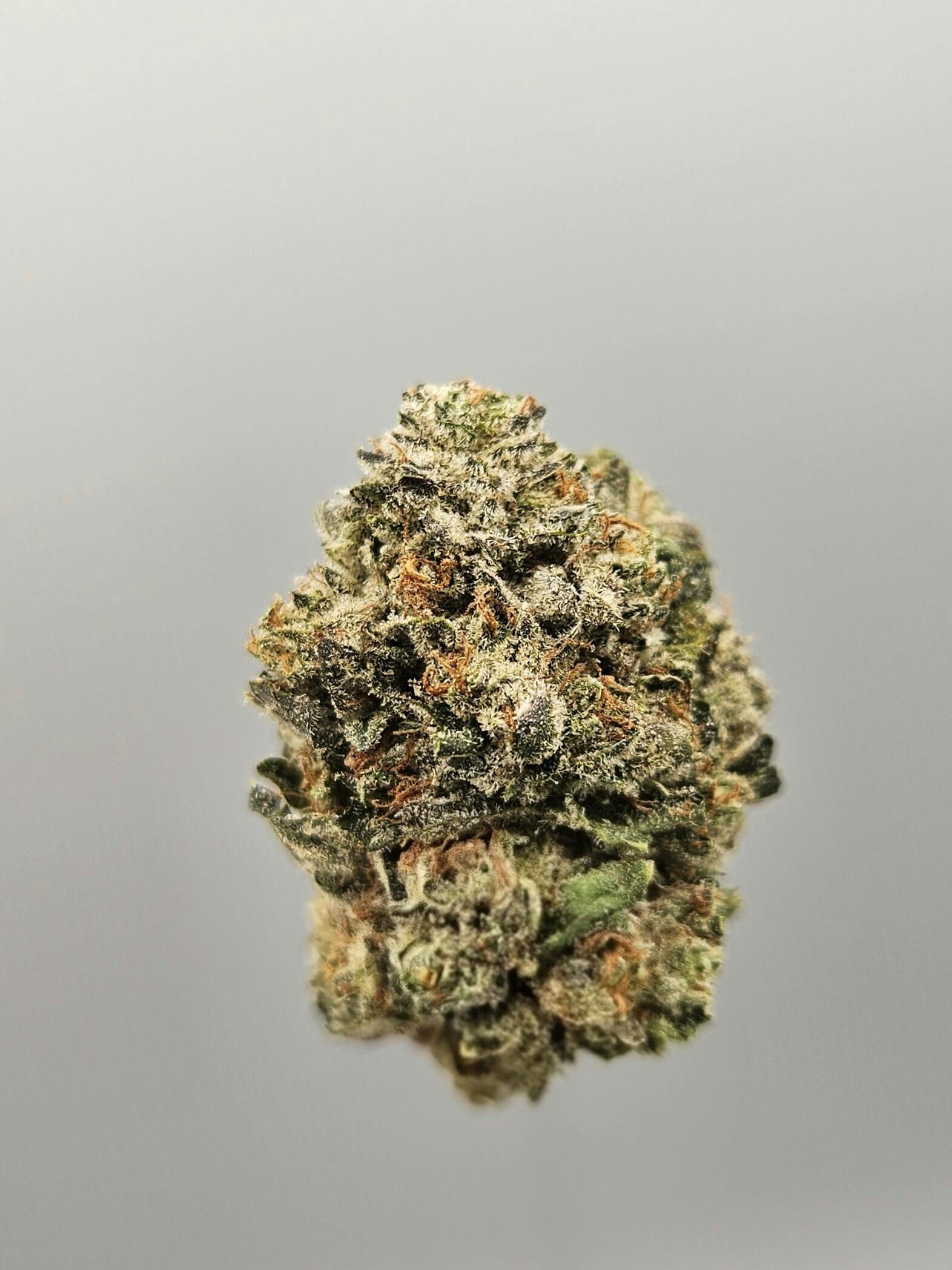 Flower - Tier 2 - Black Oishii by Ripple Wellness
