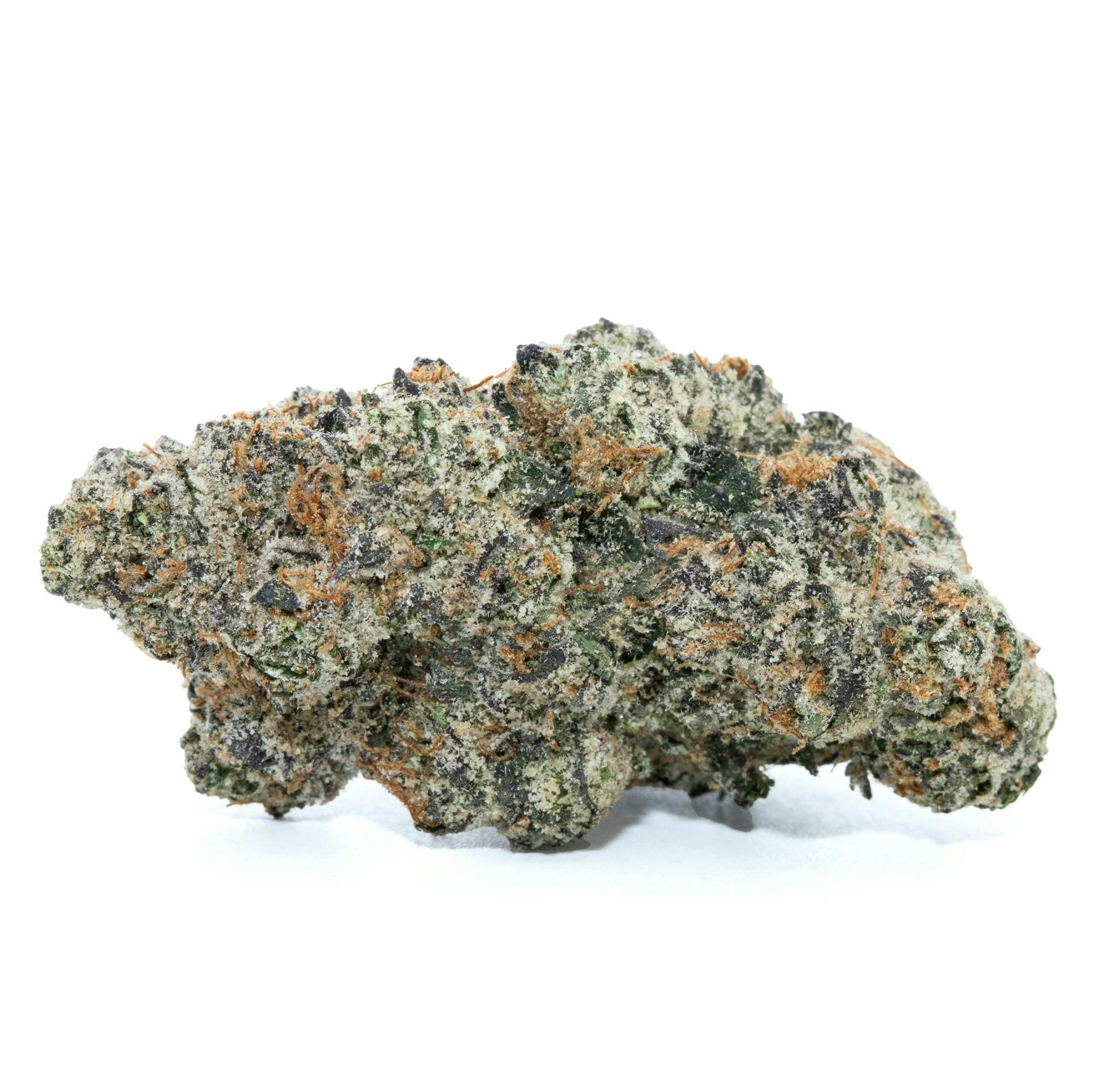 ZZ Bow | Buds | 7g