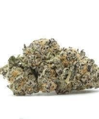Truffle Butter | Buds | 7g