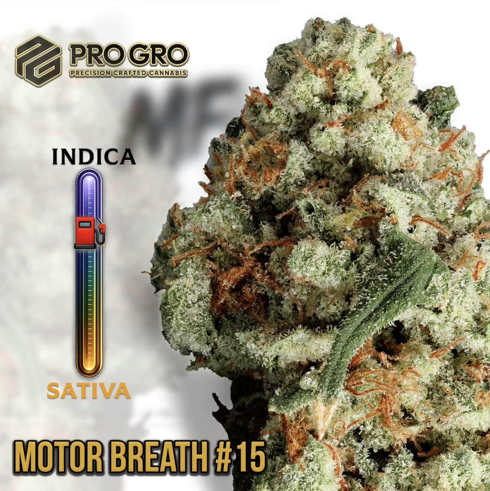 Pro Gro | Motor Breath #15 | Big Buds by Pro Gro