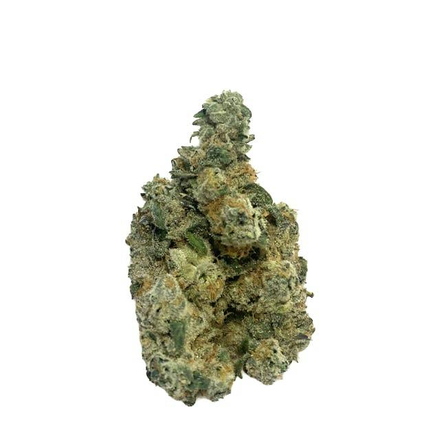 Fugu | Big Buds by Glorious Cannabis Company