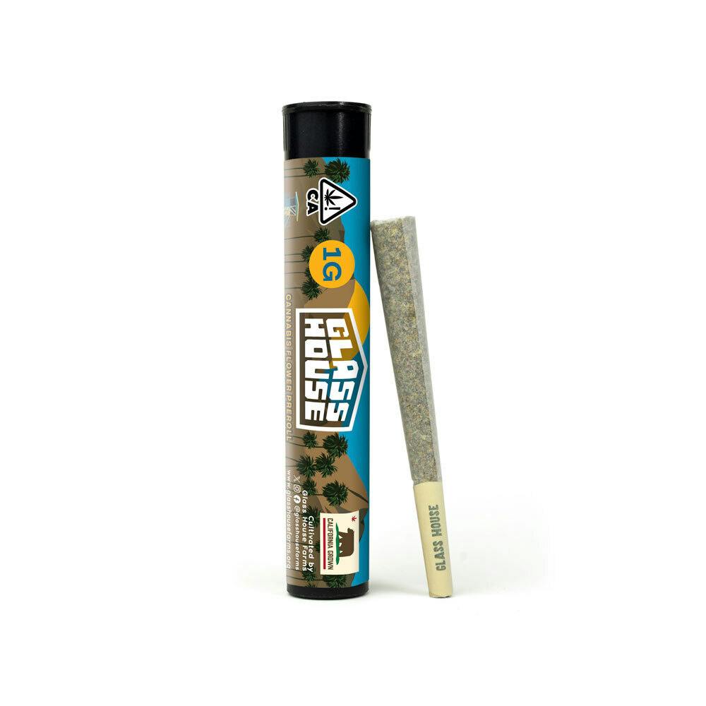 Glass House Farms | Scatterbrain | Joint | 1g
