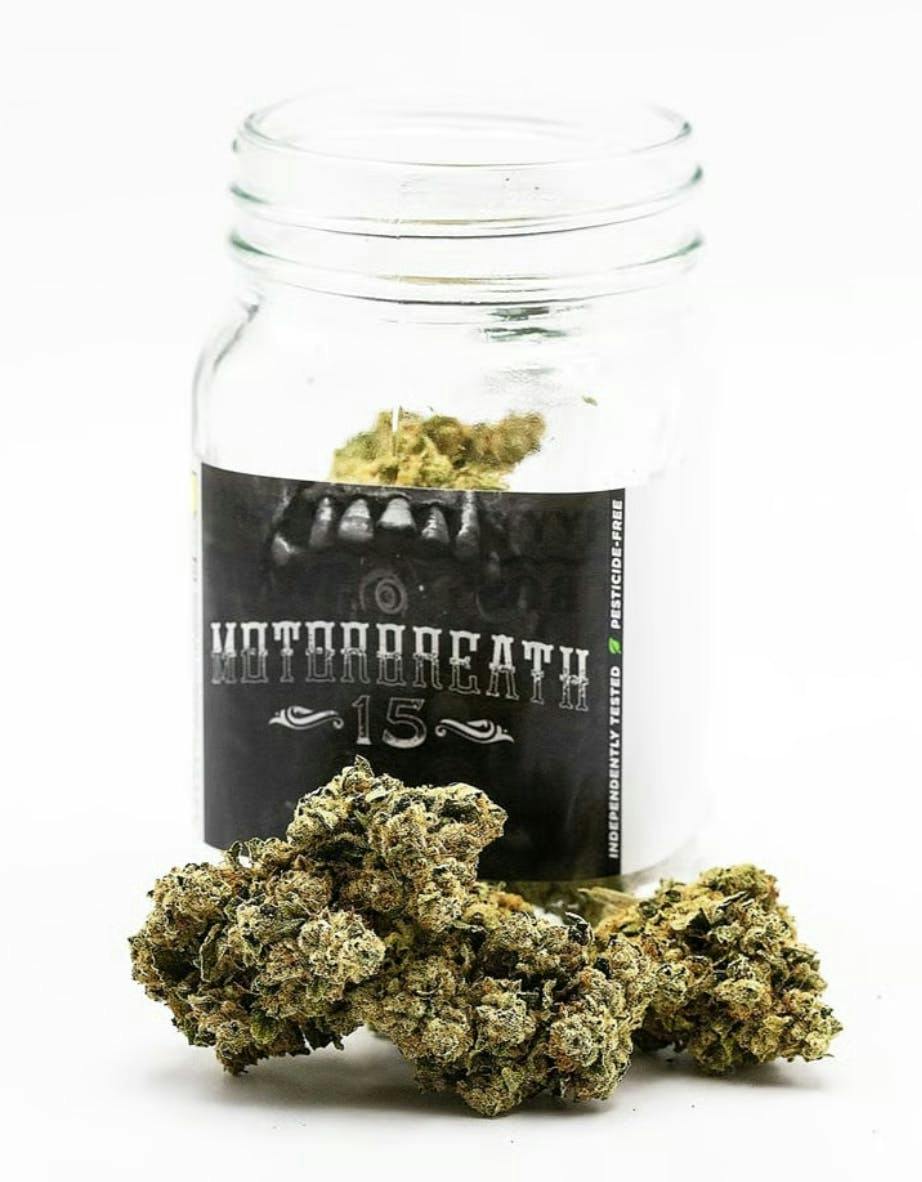 Motorbreath #15 | Big Buds | 3.5g