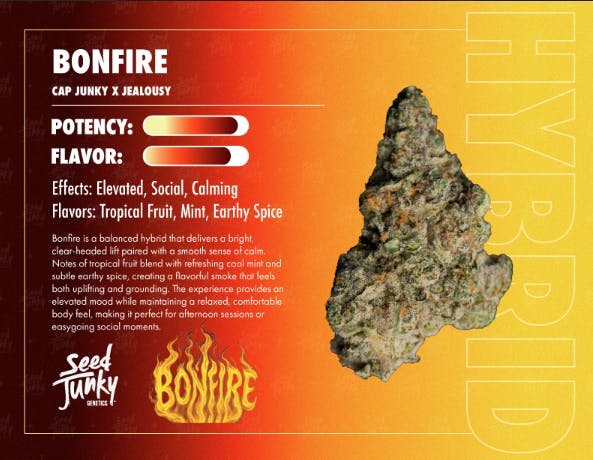Bonfire | Smalls | 14g by Seed Junky