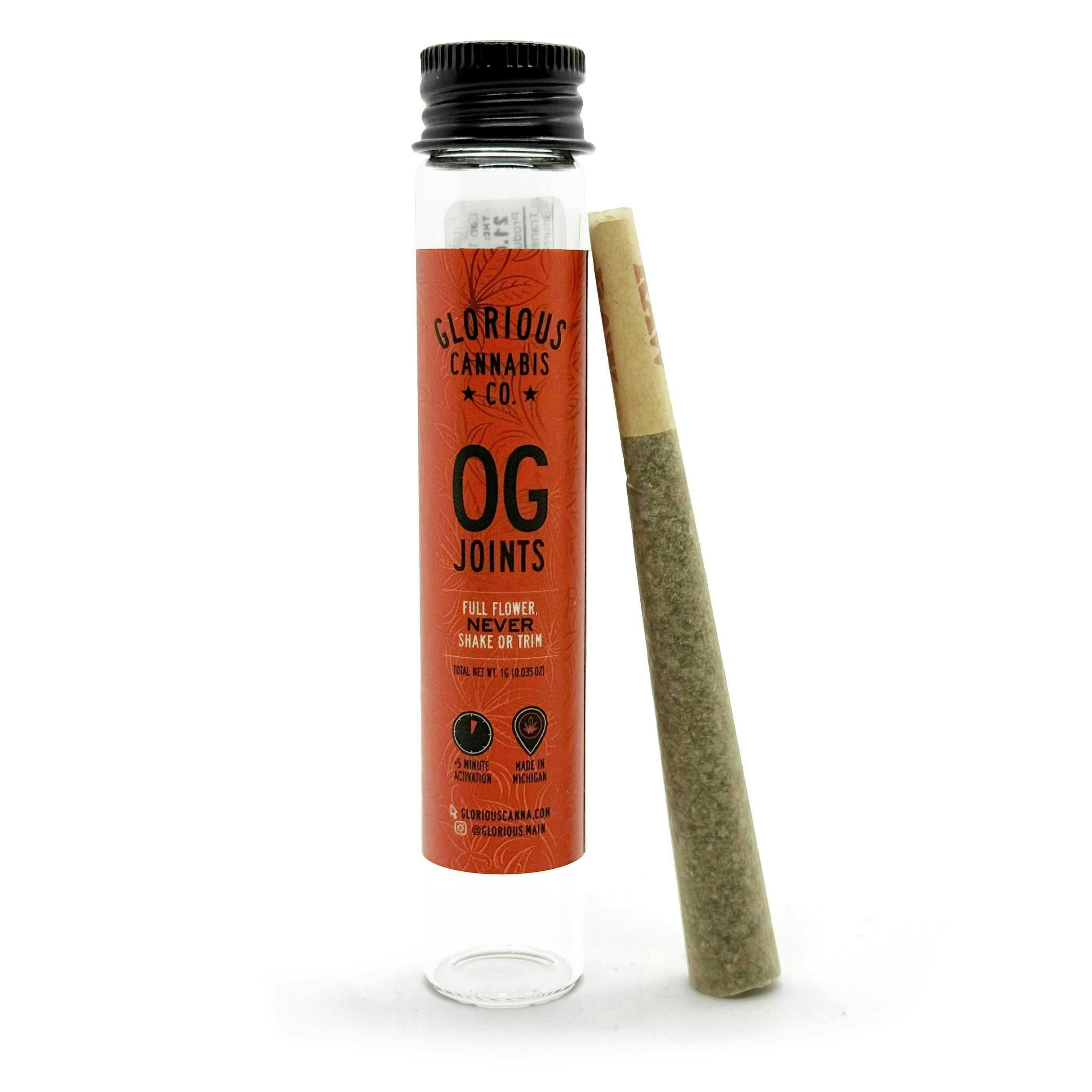 Blueberry Pancakes #4 | Joint | 1.0g