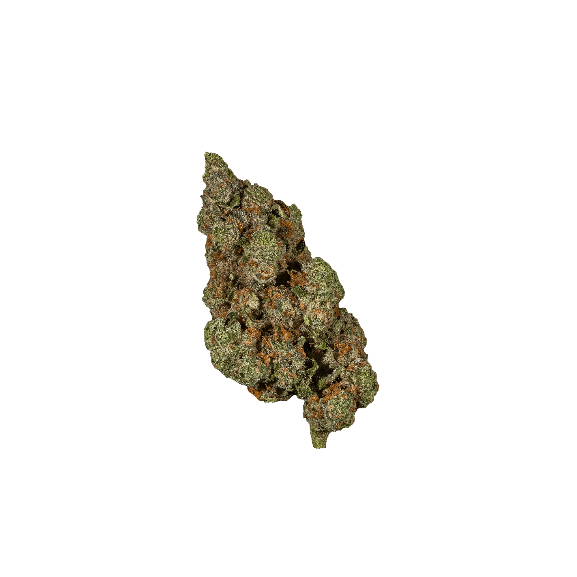 Glorious Cannabis Company | First Class Funk | Big Buds | 1g