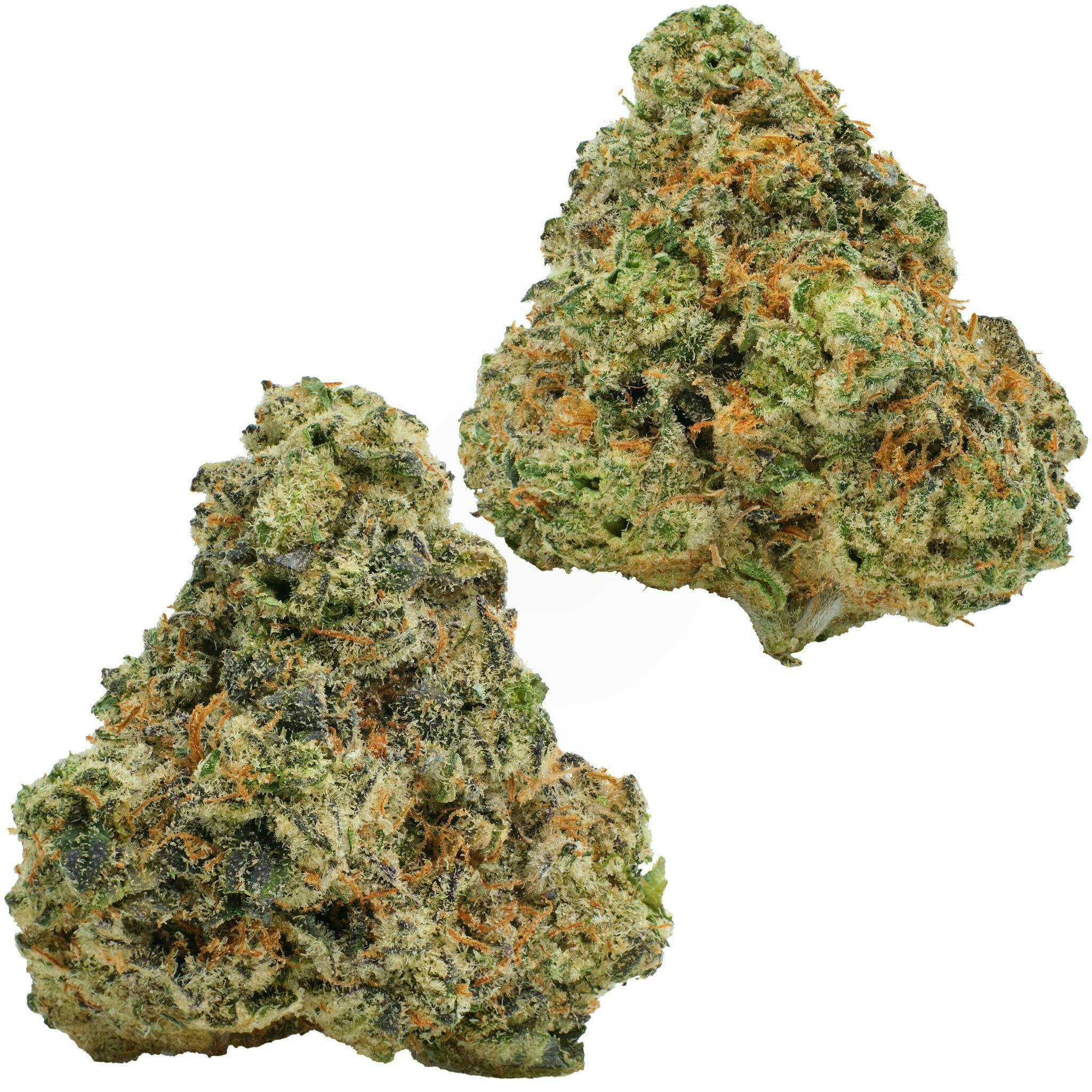 Glorious Cannabis Company | Nola Monsoon | Big Buds | 1g at Sociale Dispensary