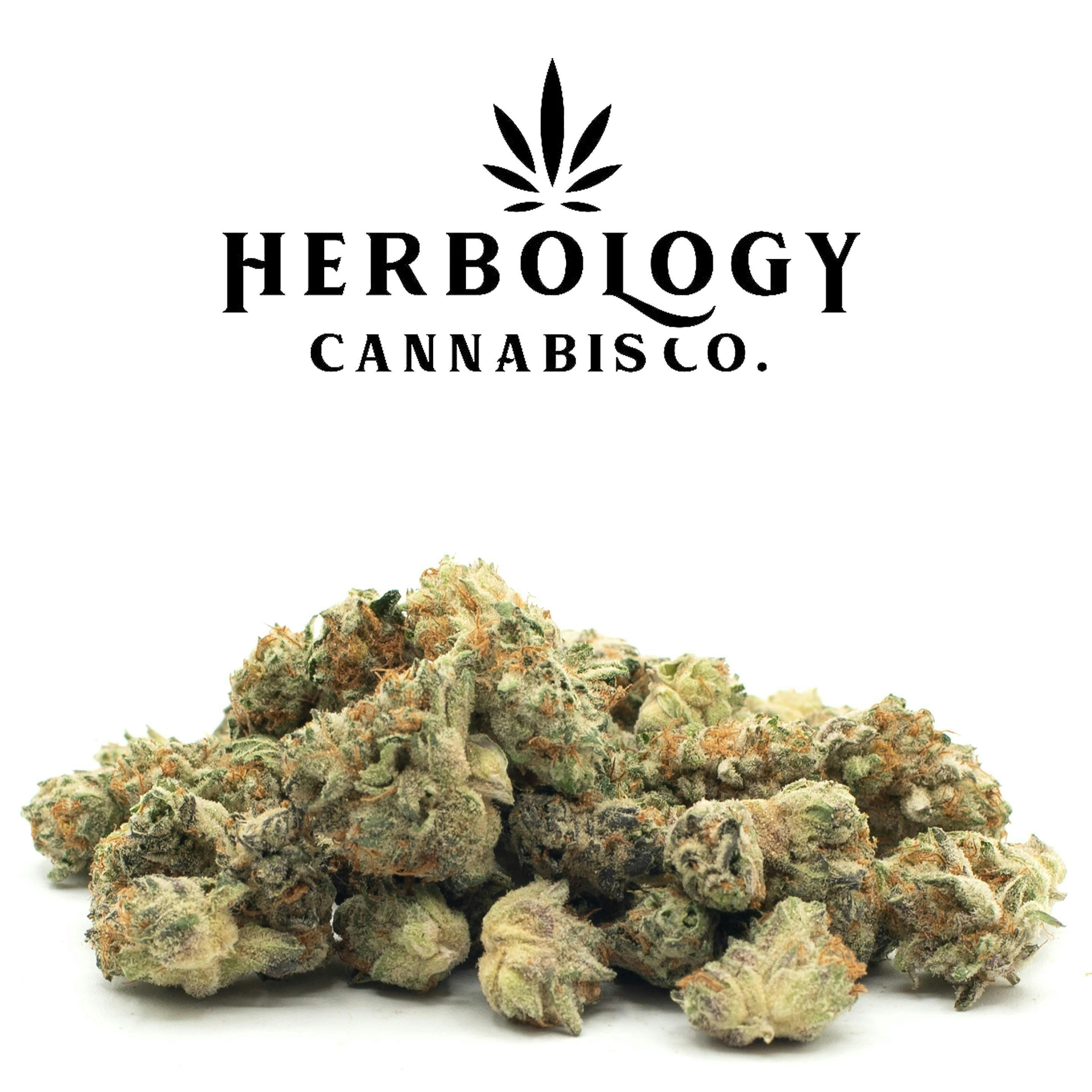 Glorious Cannabis Company | Glitter Bomb x Sweet Tea | Smalls | 28g at Sociale Dispensary