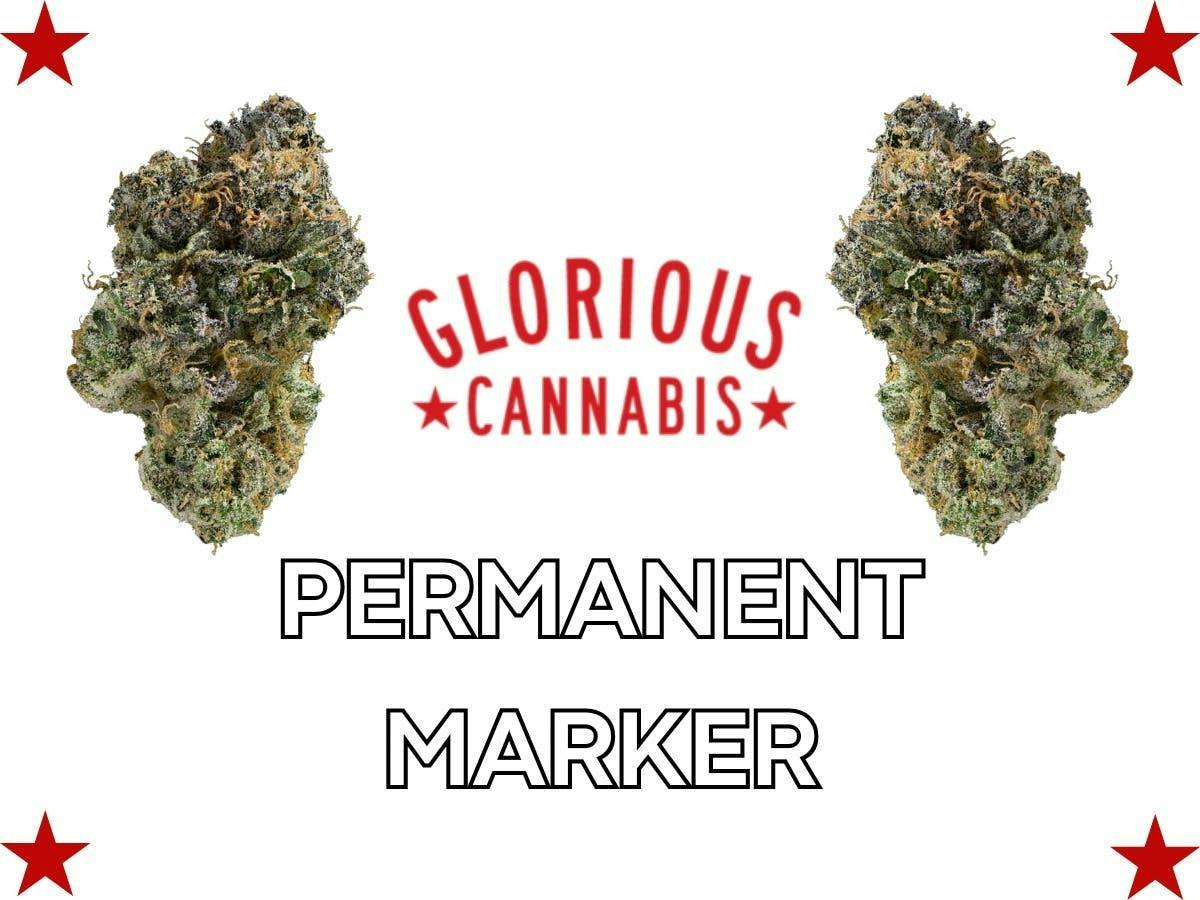 Permanent Marker | Big Buds by Glorious Cannabis Company