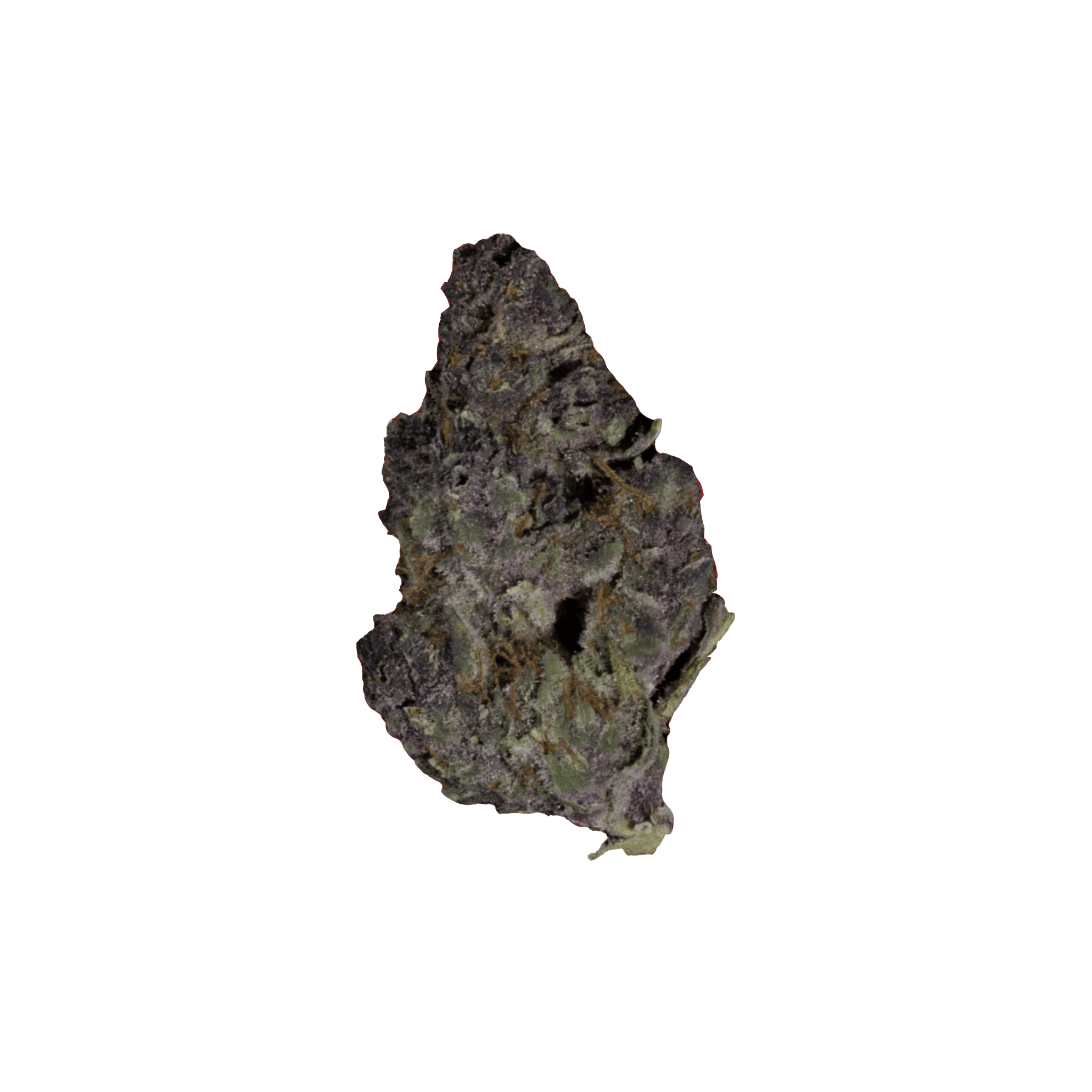 Glorious Cannabis Company | Tropicana Cherry | Big Buds | 1g by Glorious Cannabis Company