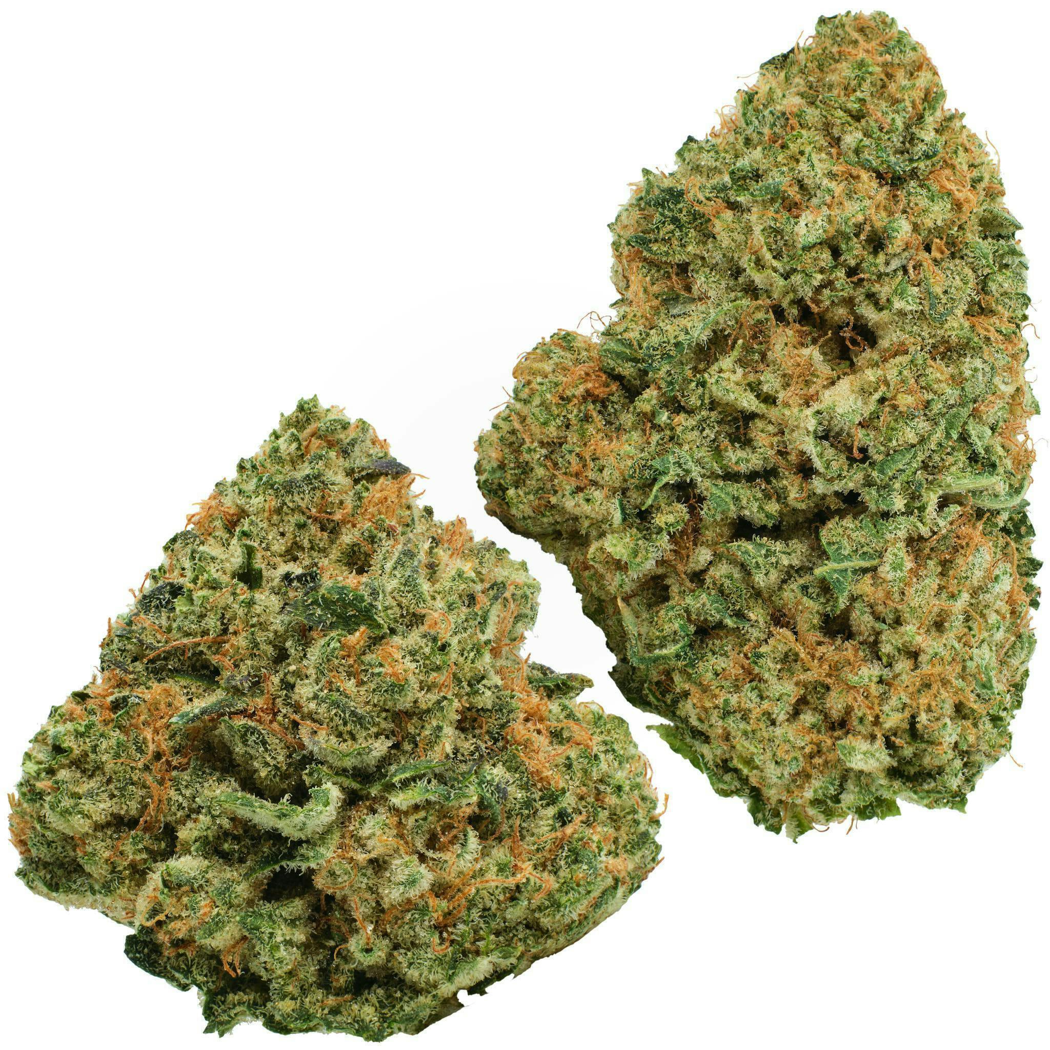 Glorious Cannabis Company | Space Walker | Big Buds | 1g by Glorious Cannabis Company