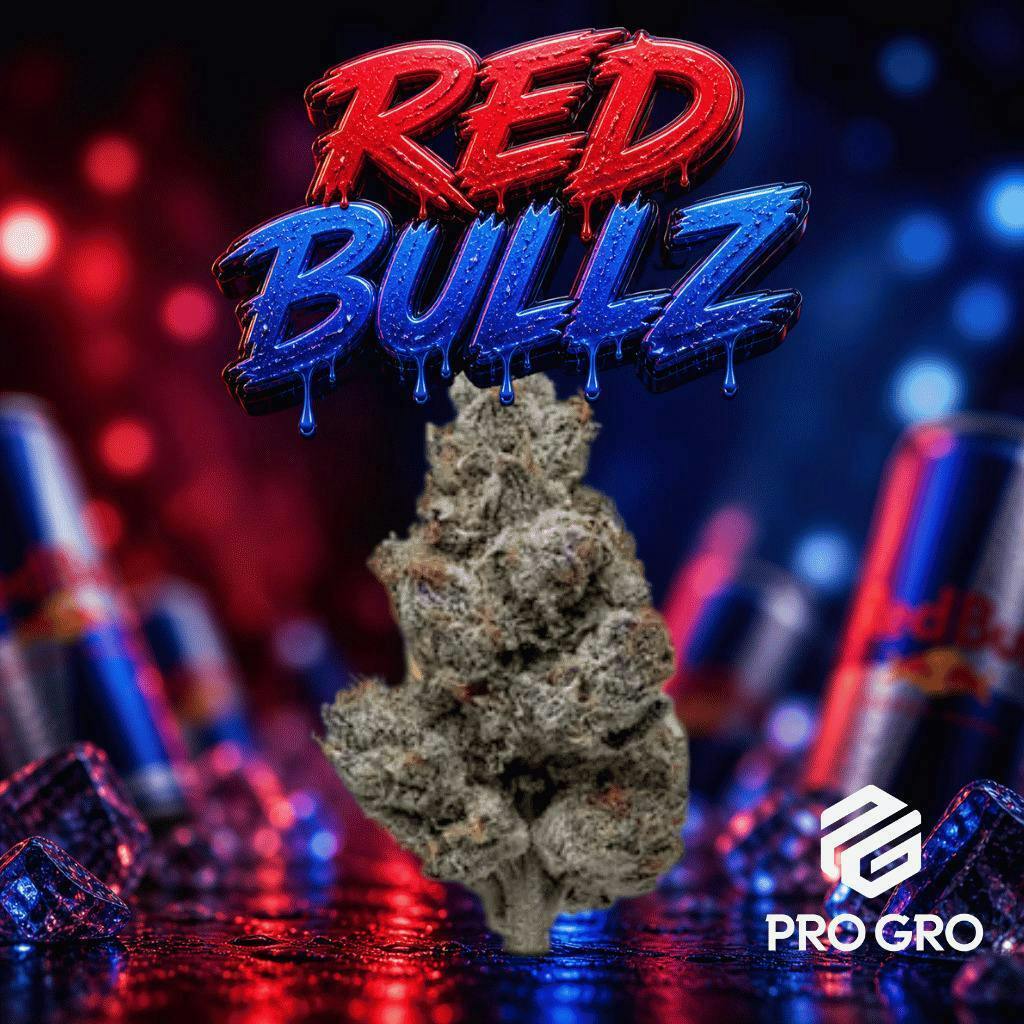 Pro Gro | Red Bullz | Big Buds by Pro Gro