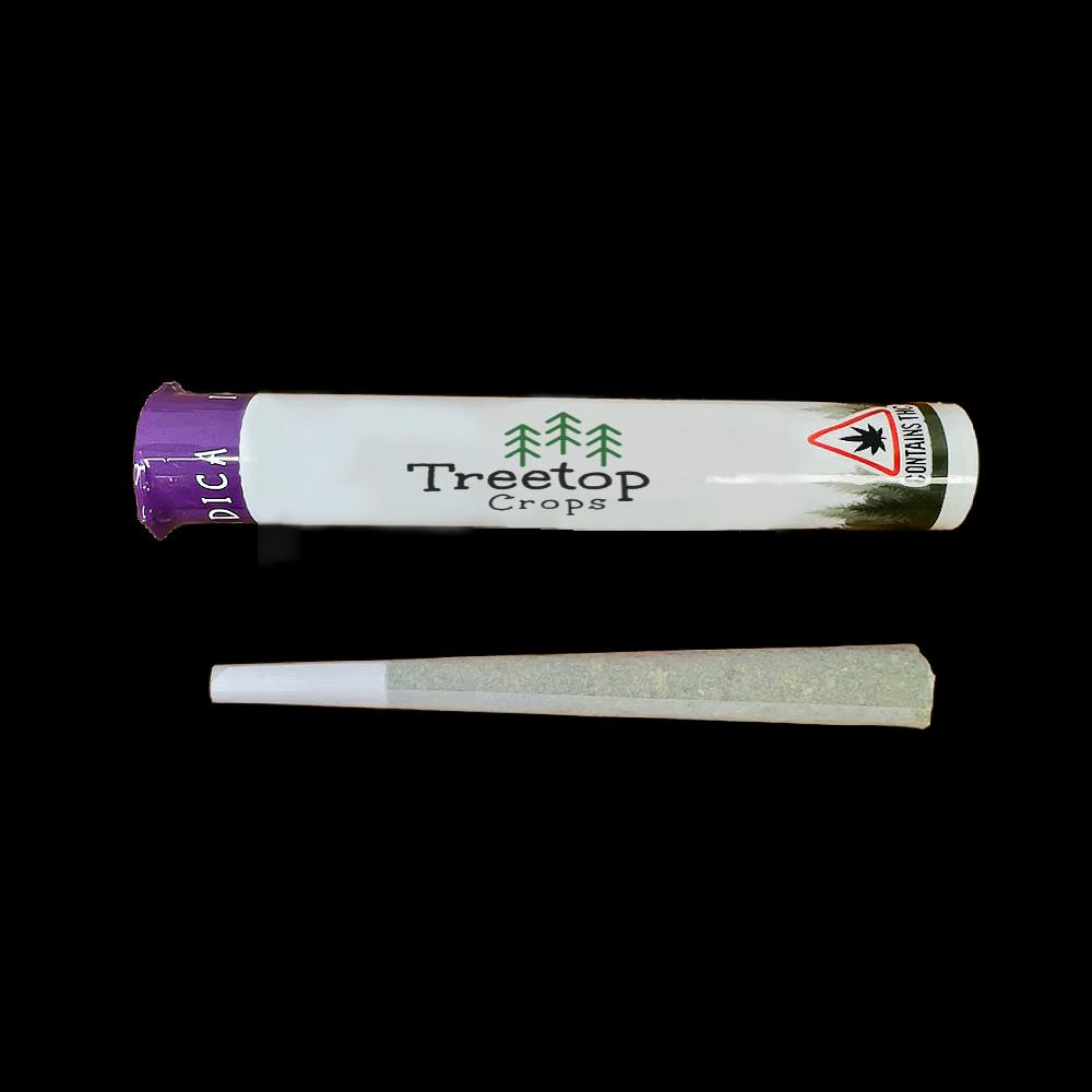 Sticky Rice | Joints | 1g cannabis product