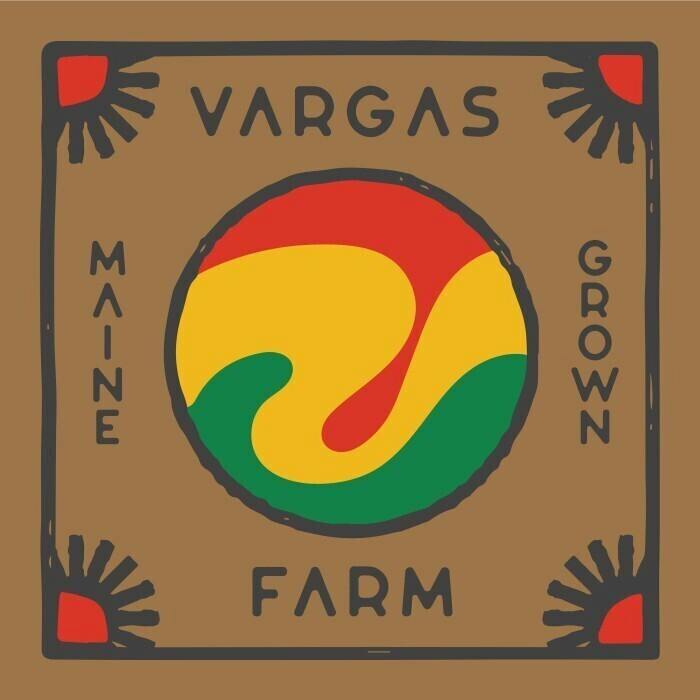 Bolo Runtz | 1g at Vargas Farm