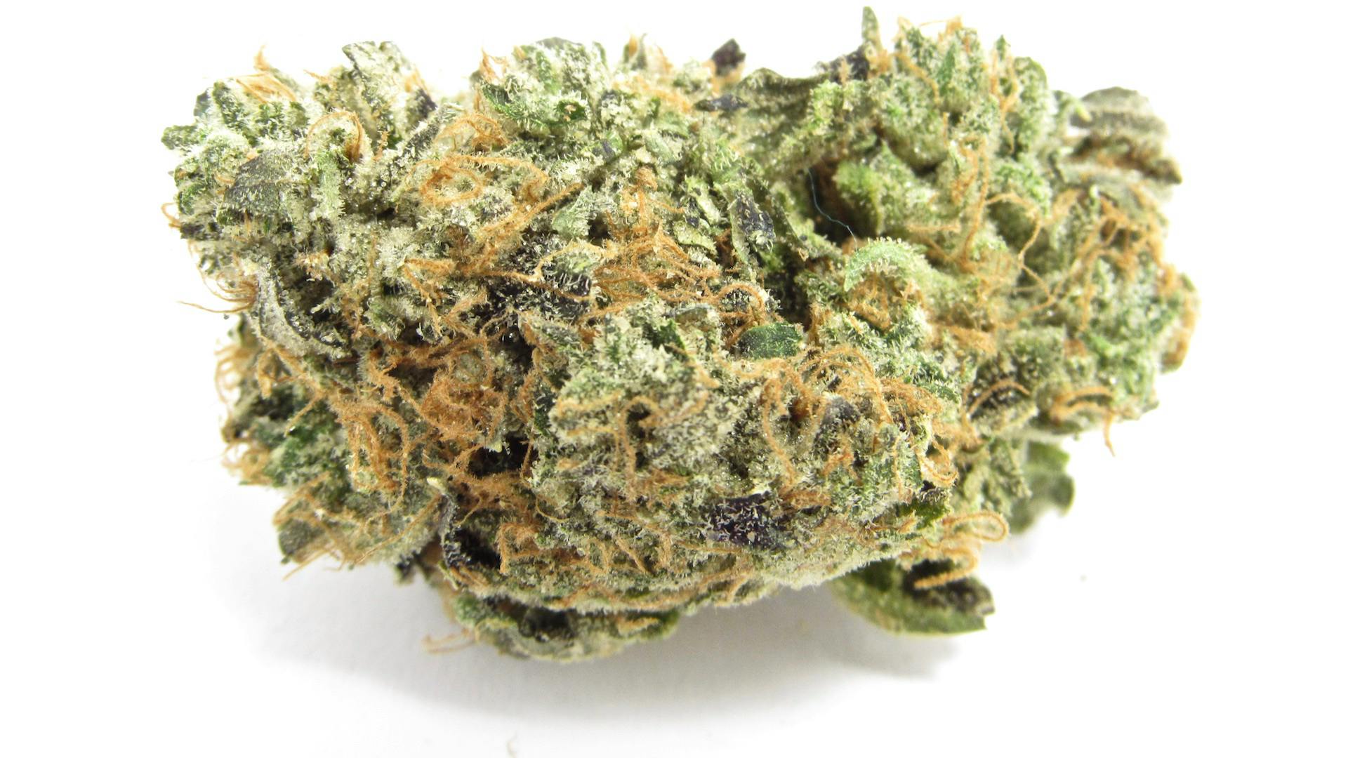 Blue Zushi | 3.5g