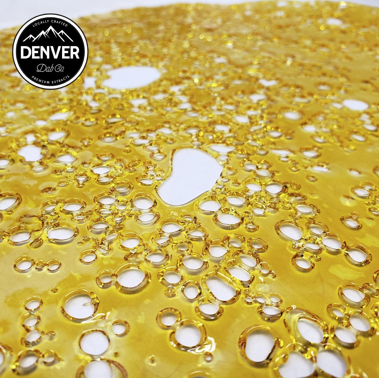 Denver Dab Co. | Black Maple | Shatter | 1g