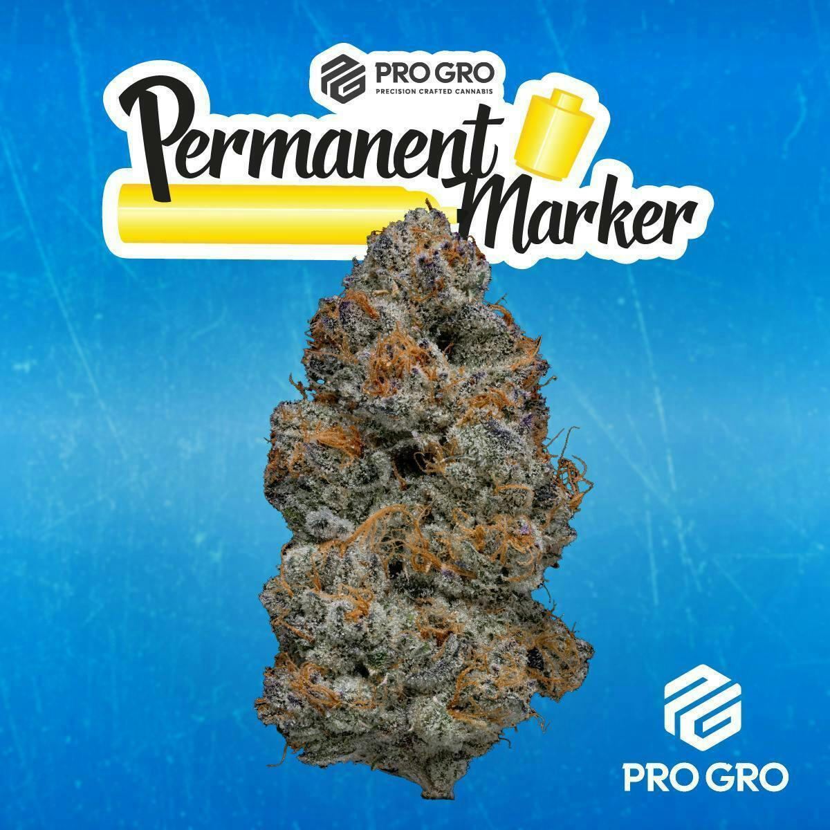Pro Gro | Permanent Marker | Big Buds by Pro Gro
